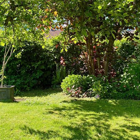 Auszeit-Ort Mit Wohlfuehl-Garantie Appartement Neu-Ulm Buitenkant foto