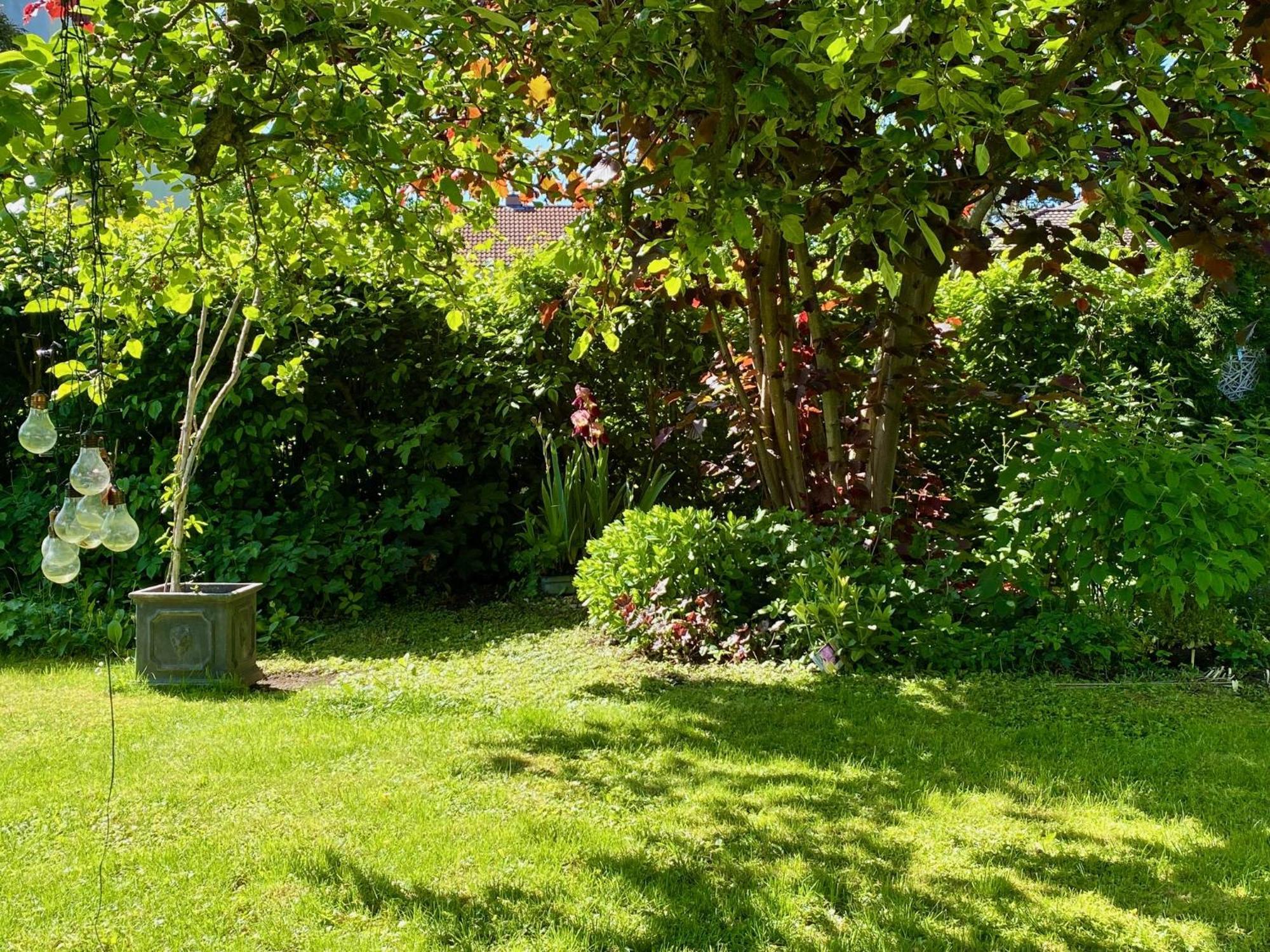 Auszeit-Ort Mit Wohlfuehl-Garantie Appartement Neu-Ulm Buitenkant foto